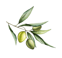 olive-mobile